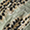 Desert sage