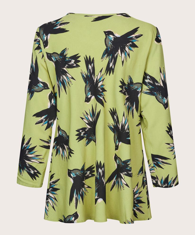 Kay Top, Fern