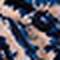 Navy Peony