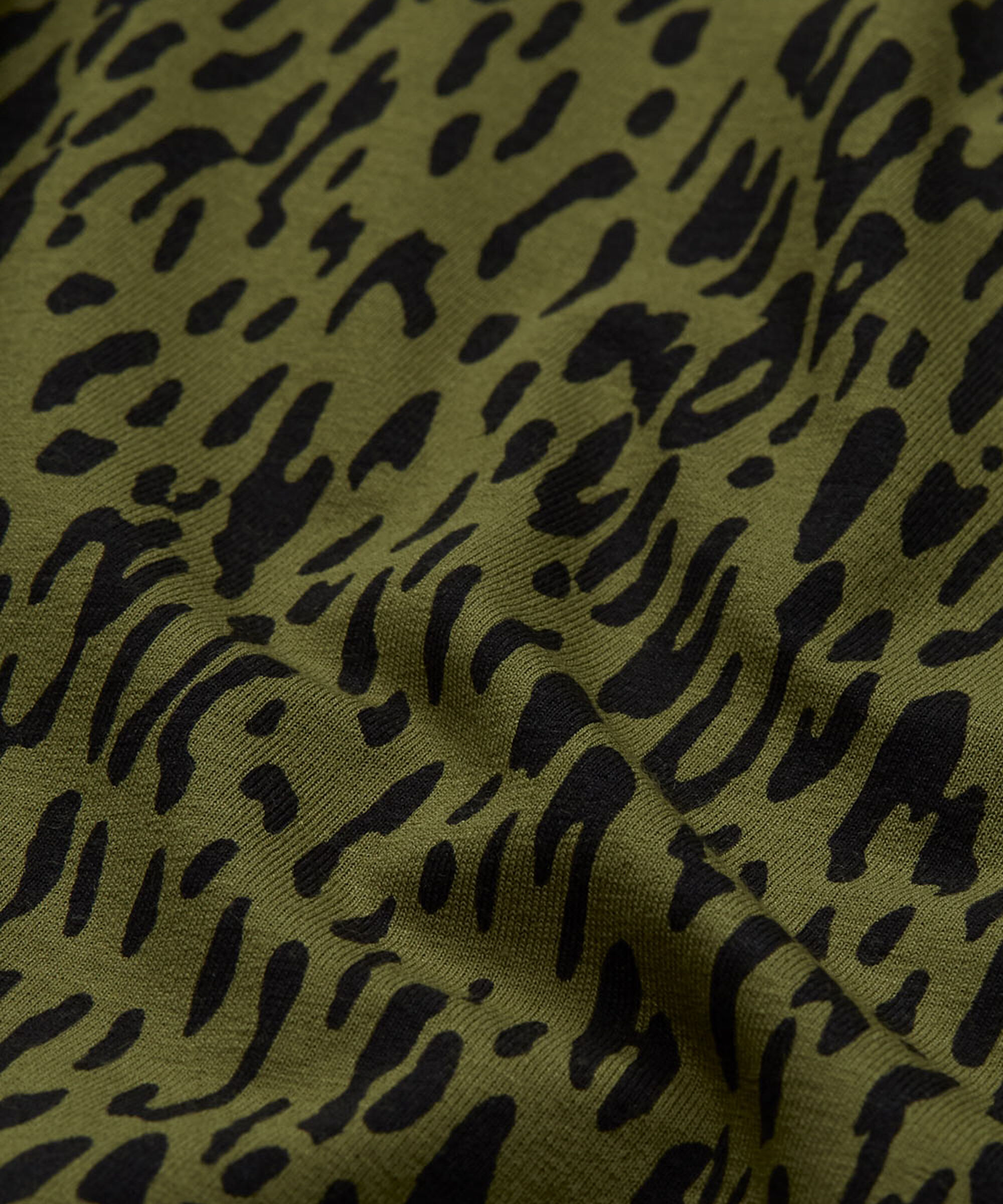 DIGNA TOP, Lizard