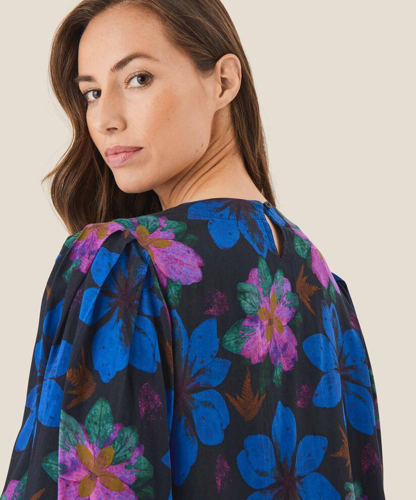 Brisa Top, Wild Aster