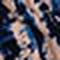 Navy Peony