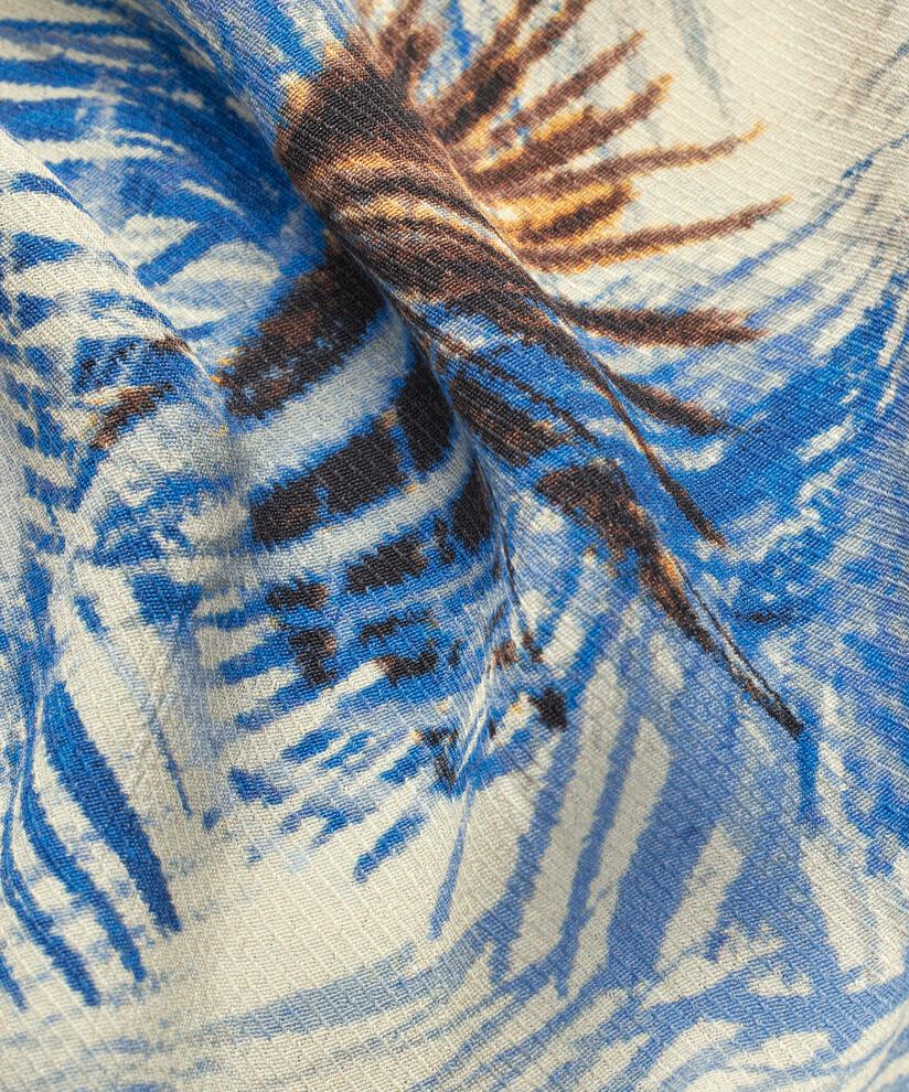 Kallo Top, Della Blue