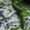 Garden Green