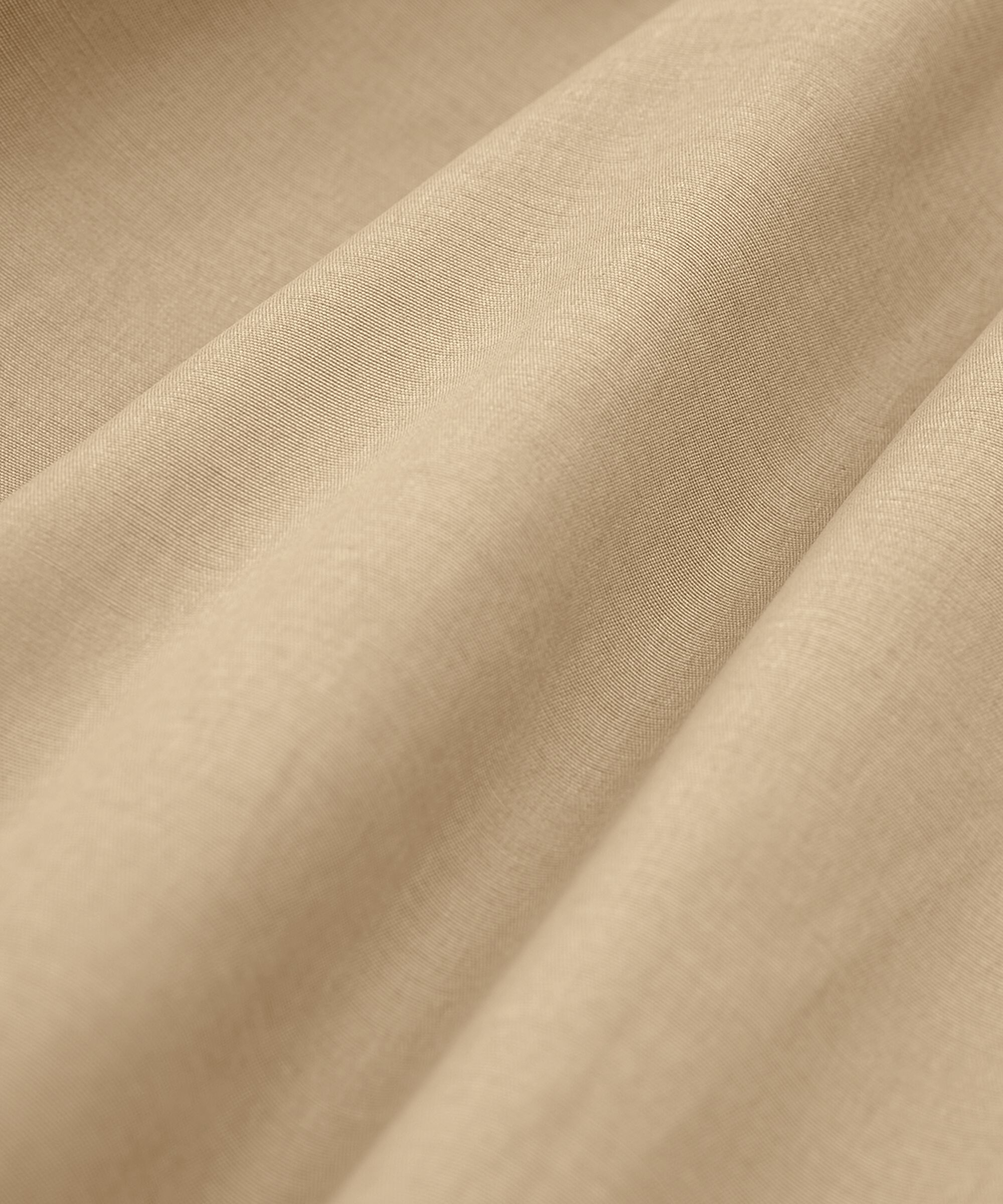 Teresa Frakke, Safari