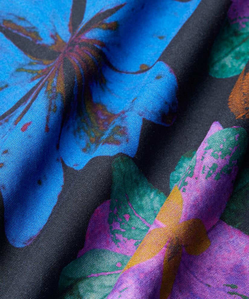 Brisa Top, Wild Aster