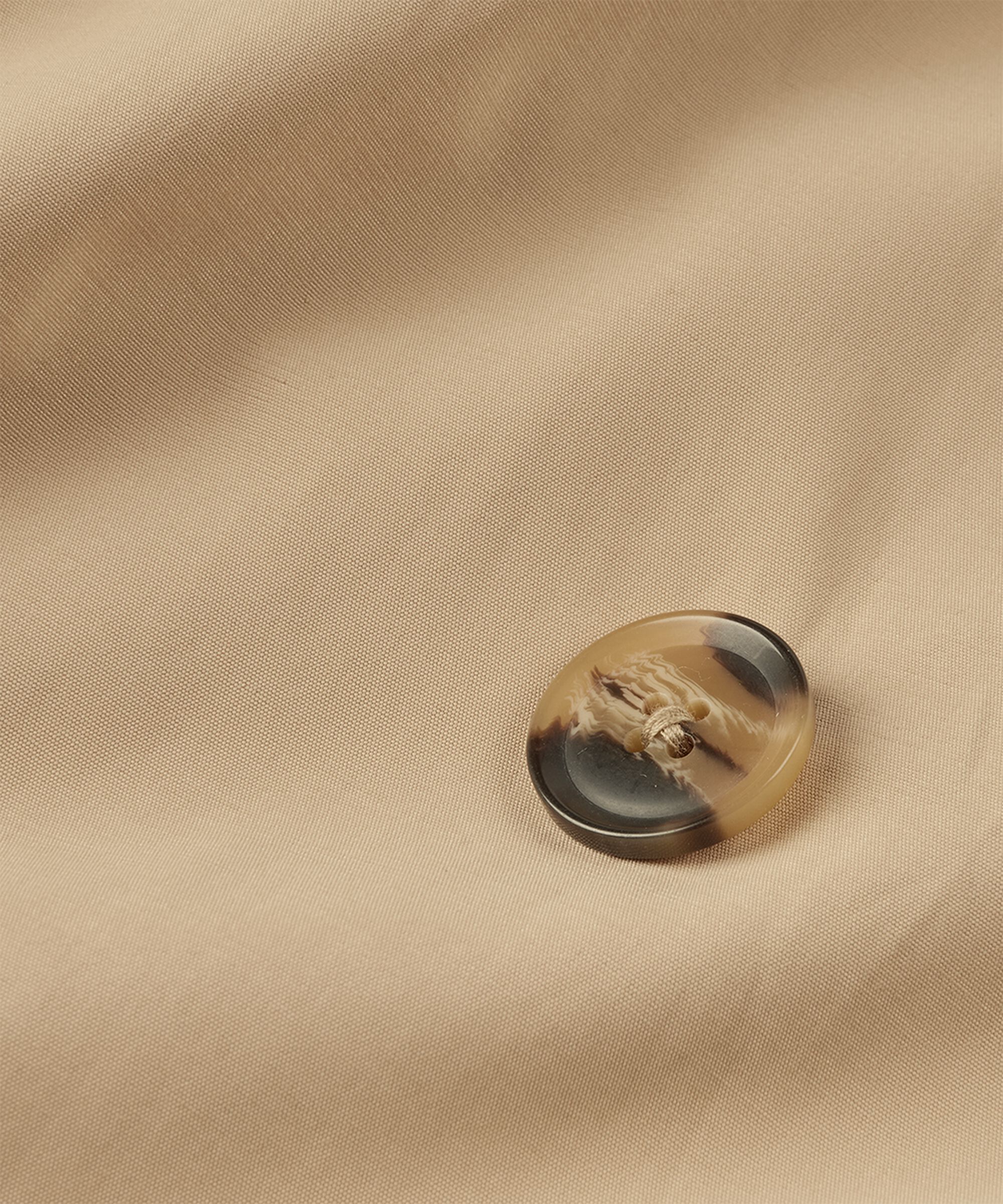 Tahmina Frakke, Safari