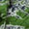 Garden Green