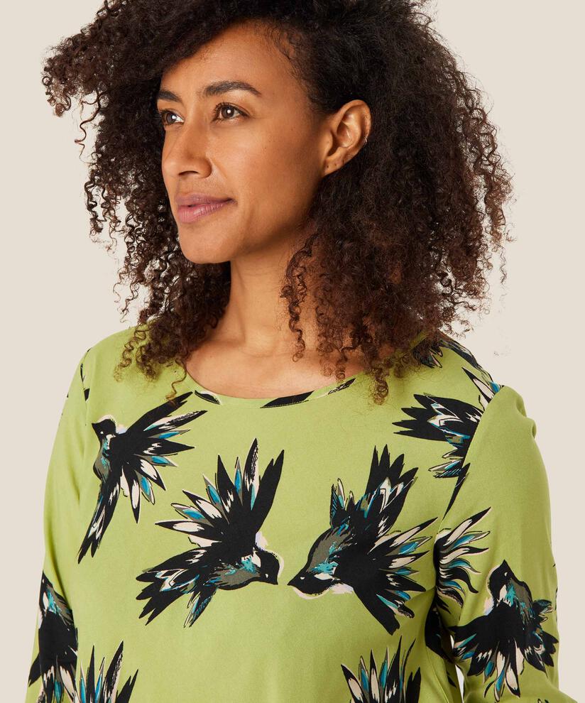 Kay Top, Fern