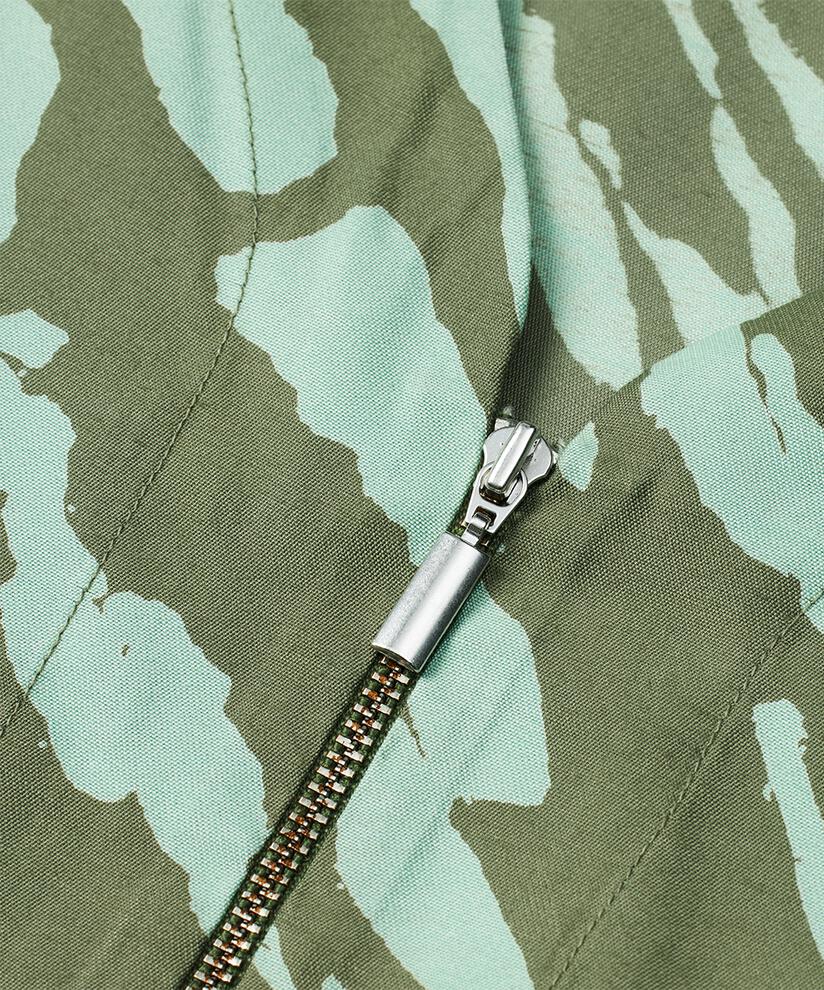 Drean Top, D. Lichen Green