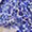 Medieval Blue