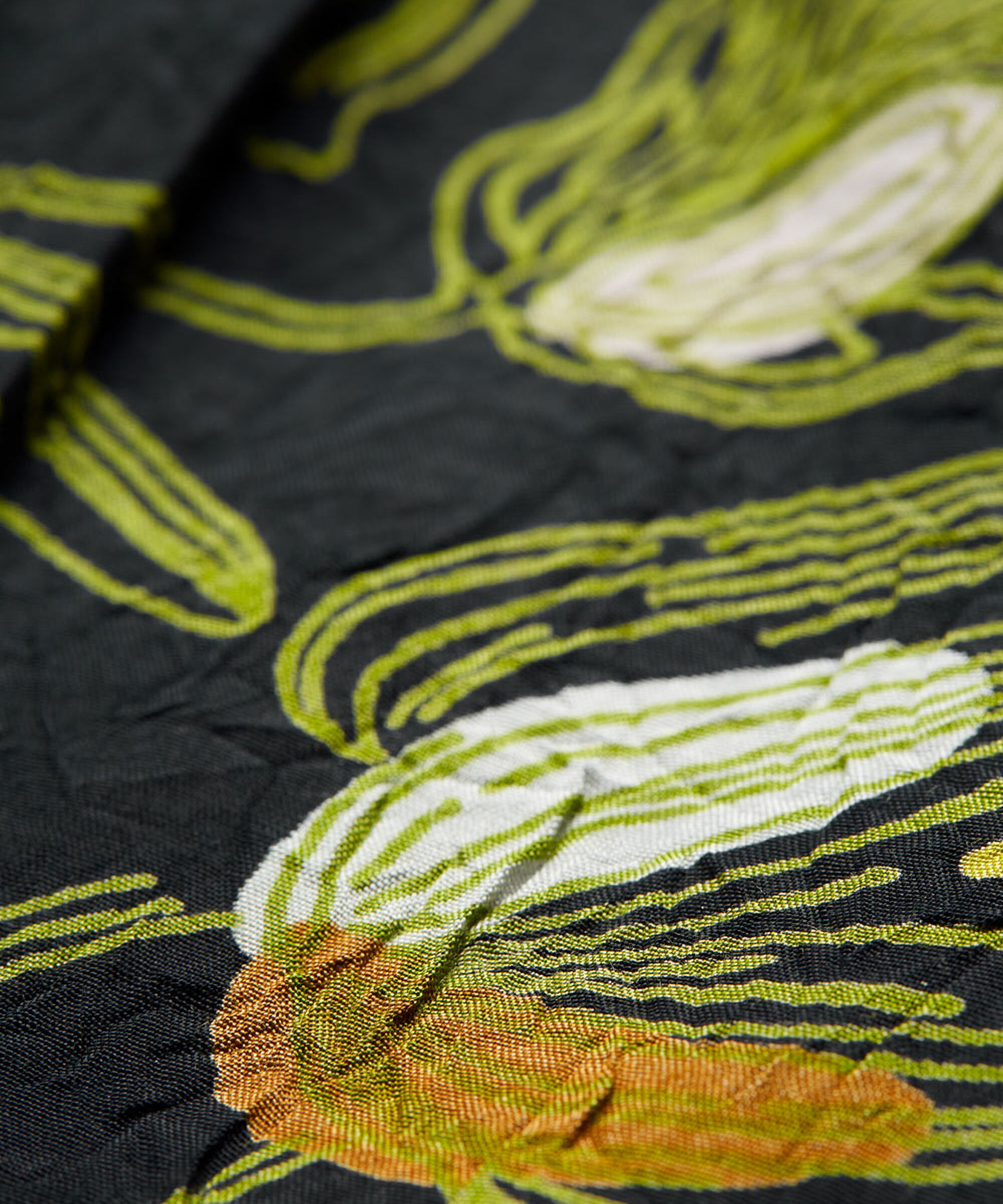 SONDRA NEDERDEL, Green Sheen