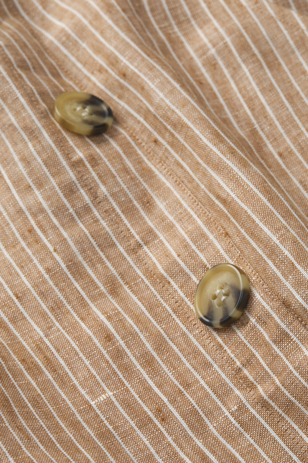 SACHA NEDERDEL, Chipmunk