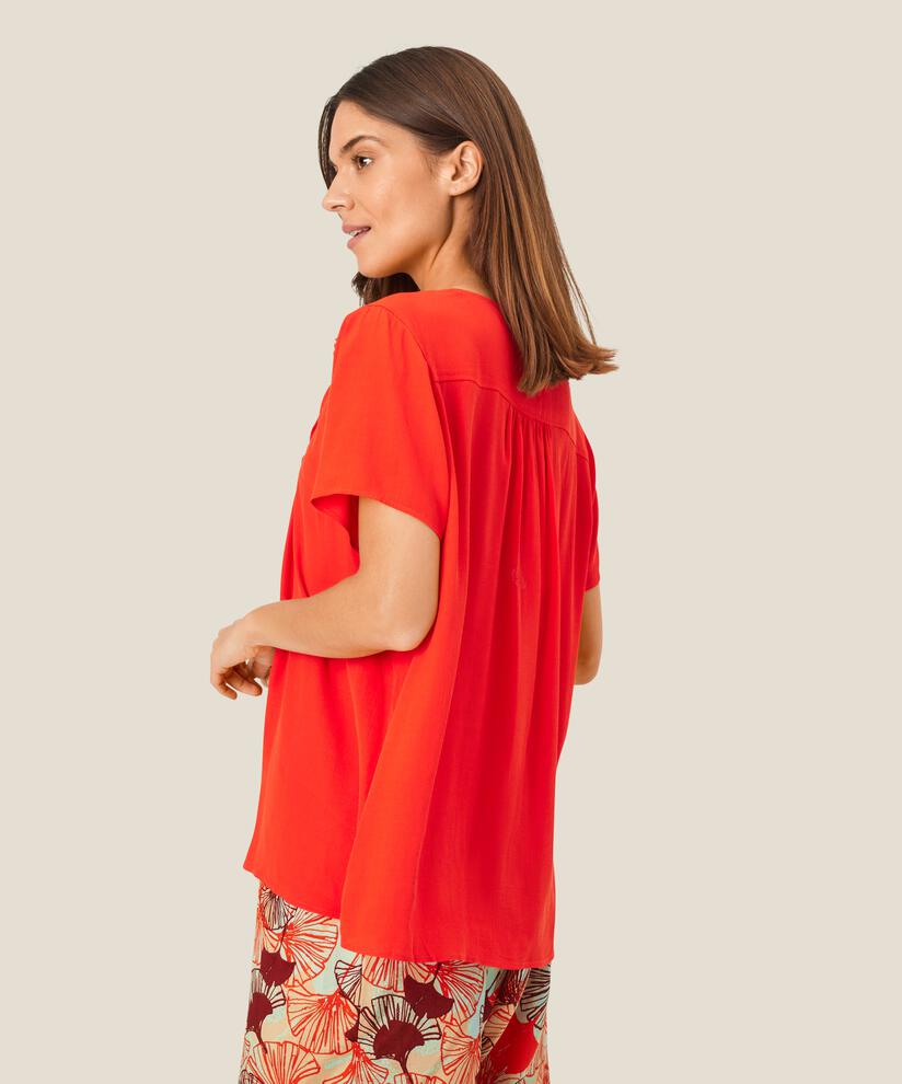 Daxina Top, Poinciana