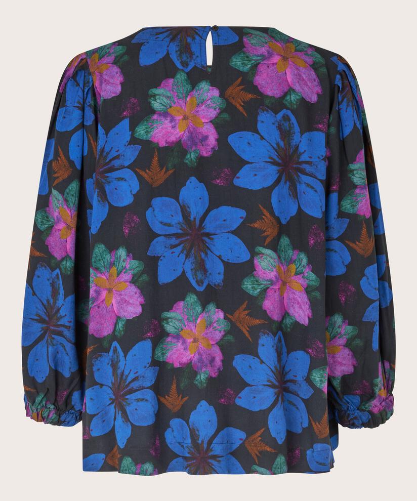 Brisa Top, Wild Aster